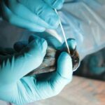 Thailand takes measures to curb bird flu amid regional outbreaks | Thaiger