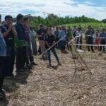 Wild elephant attack kills man, highlights longstanding issue | Thaiger