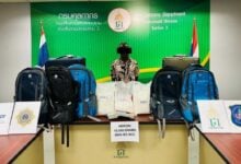 Thai customs intercept over 300 drug cases so far in December | Thaiger