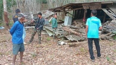 Elephant rampage devastates village in Chanthaburi province