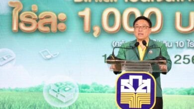 Grain gains: Thai farmers to receive 1,000 baht per rai support | Thaiger