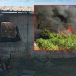 Tragic house fire in Prachinburi claims boy&#8217;s life and two dogs | Thaiger