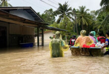 Deadly floods hit Surat Thani and Nakhon Si Thammarat