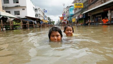 Man-made moves make Thailand flood the news, says expert (video)