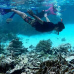 Illegal foreign tour guides threaten Thailand&#8217;s tourism industry | Thaiger