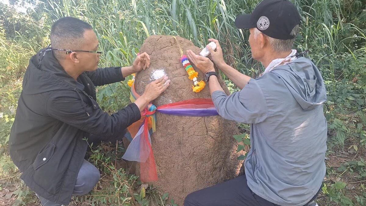 Winning numbers: Villagers seek lottery luck from Phayao anthill