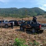 Police crack down on illegal forest farming in Lampang | Thaiger