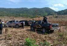 Police crack down on illegal forest farming in Lampang