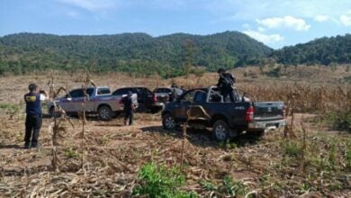 Police crack down on illegal forest farming in Lampang