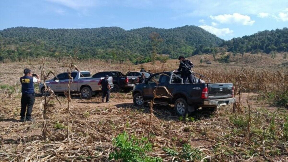 Police crack down on illegal forest farming in Lampang