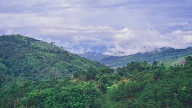 Thailand braces for cold snap and monsoon thunderstorms