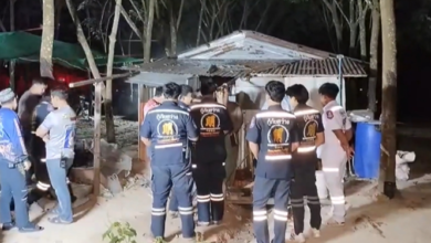 Prachinburi plantation owner killed in brutal attack