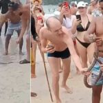 Cobra causes hiss-teria at Kata Beach in Phuket (video) | Thaiger