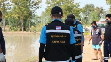 A 60 year old man found stabbed 20 times in Thai paddy field