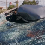 Falling tree branch severely damages car in Nonthaburi accident | Thaiger