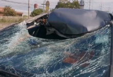 Falling tree branch severely damages car in Nonthaburi accident