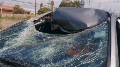 Falling tree branch severely damages car in Nonthaburi accident