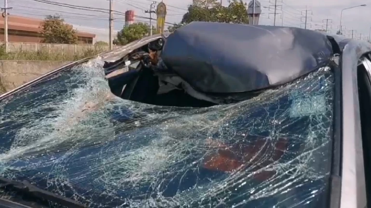 Falling tree branch severely damages car in Nonthaburi accident