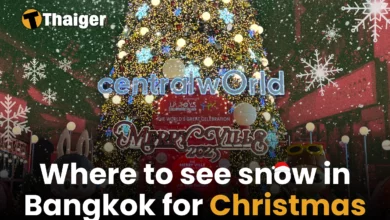 Where to see snow in Bangkok for Christmas 2024