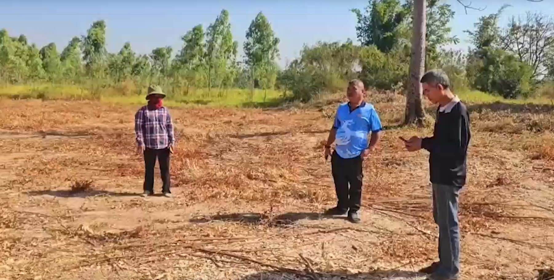 Couple scammed in 80,000 baht eucalyptus plantation deal | News by Thaiger