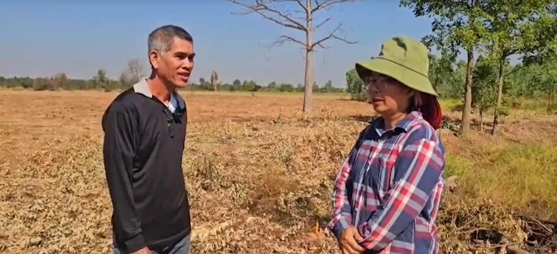 Couple scammed in 80,000 baht eucalyptus plantation deal