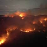 Firefighters battle forest fire near monastery in Chon Buri (video) | Thaiger