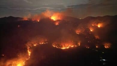 Firefighters battle forest fire near monastery in Chon Buri (video)