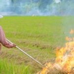 Thailand locks in on crop burning with strict new measures