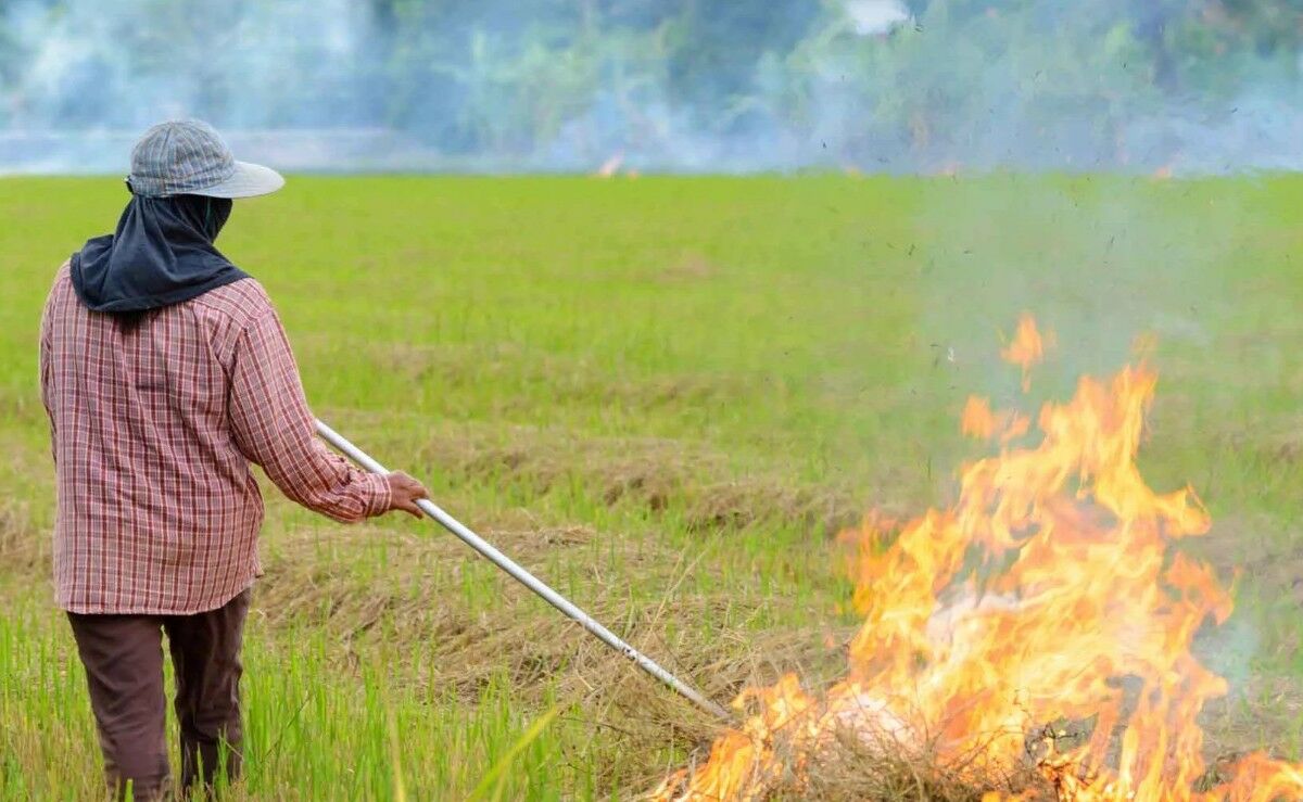 Thailand locks in on crop burning with strict new measures