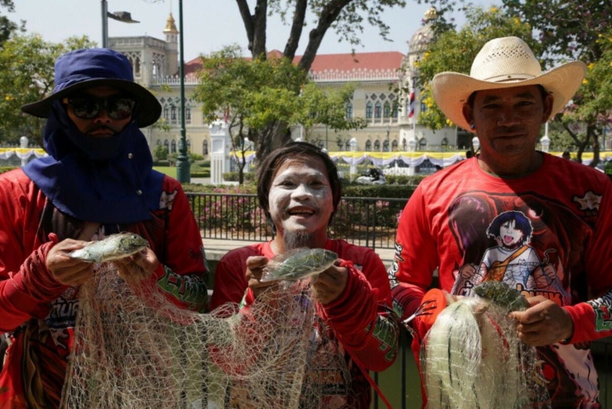 Something’s fishy: Farmers demand answers over blackchin tilapia spread