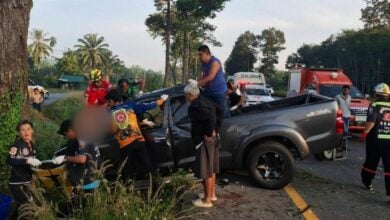 7 killed in Surat Thani pickup accident including 2 year old twins  | Thaiger