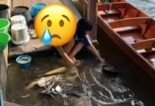 Hygiene concerns after foreigner films dishwashing in Thai canal (video)