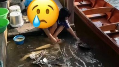 Hygiene concerns after foreigner films dishwashing in Thai canal (video)