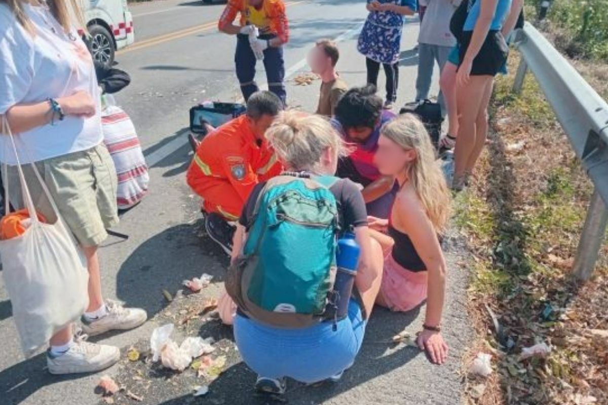 Foreign tourists injured bus accident tree falling