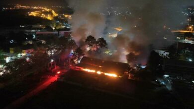 Fire unleashed: Blaze engulfs pet store in Chiang Rai