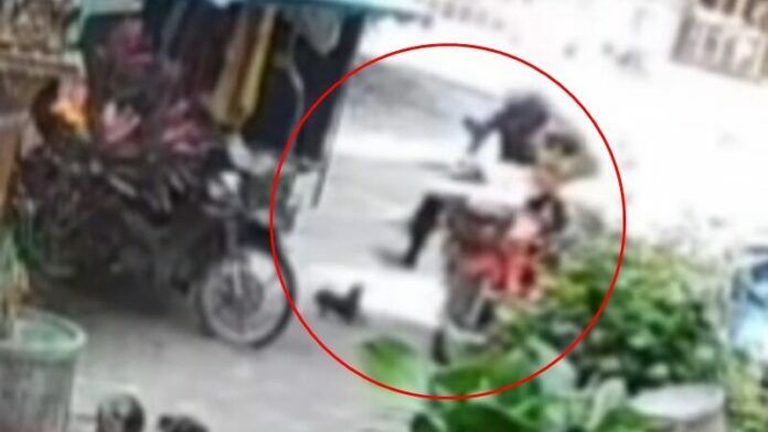 Chihuahua attacked by delivery worker in Nakhon Si Thammarat