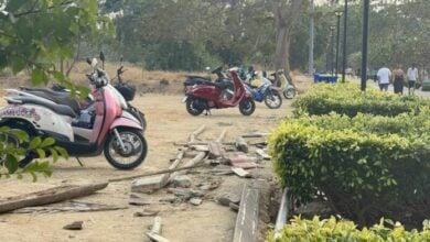 Coin hunting frenzy disrupts Kretin Lai Beach, Chon Buri