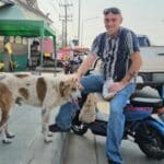Chon Buri stray dog adopted by American man after firecracker scare | Thaiger