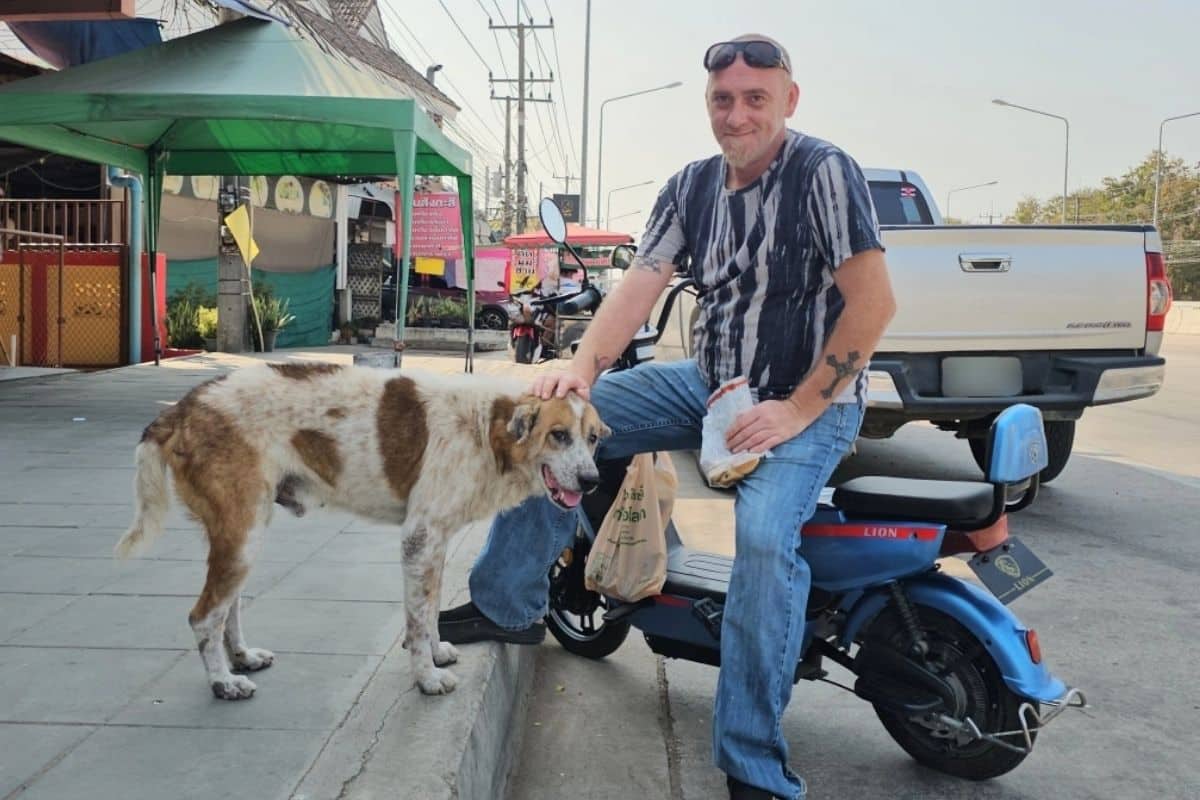 Chon Buri stray dog adopted by American man after firecracker scare