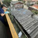 Thai man allegedly kills 3 snakes before taking his own life