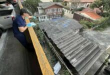 Thai man allegedly kills 3 snakes before taking his own life