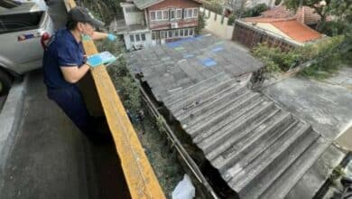 Thai man allegedly kills 3 snakes before taking his own life