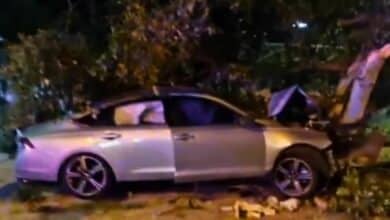 Russian man rescued after car crashes into tree, suspected drugs found