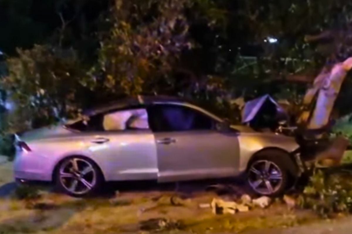 Russian man rescued after car crashes into tree, suspected drugs found