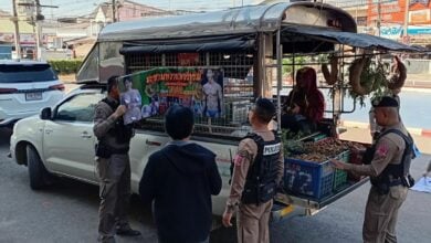 Isaan tamarind vendor fined for nude model marketing tactics