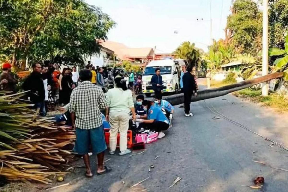 Tragedy in Isaan: Century-old tree kills teen, injures another