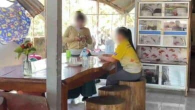 Thai woman and daughter flee after death threat by mentally ill man