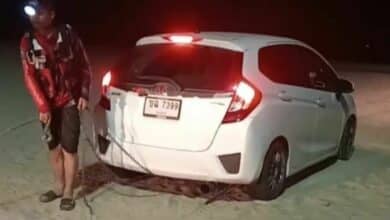 Thai man drives wife and friend into Rayong sea in jealousy spat | Thaiger