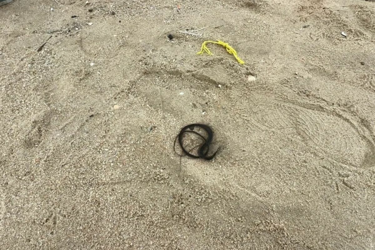 Thai woman's hair pulled while intervening in argument between friend and her husband