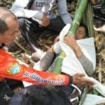 Thai man survives 8 days in forest with broken hip | Thaiger